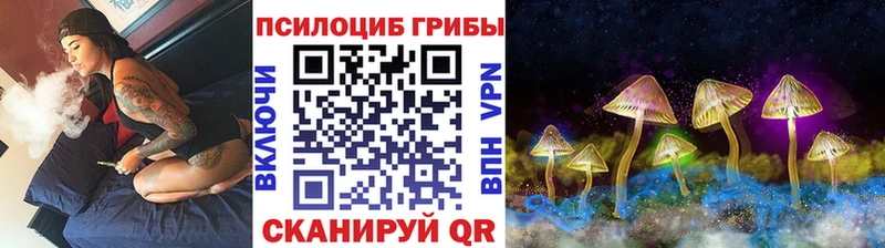 Псилоцибиновые грибы Psilocybe  Купить  Павлово 