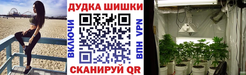 Купить закладки  Павлово  Бошки марихуана AK-47 